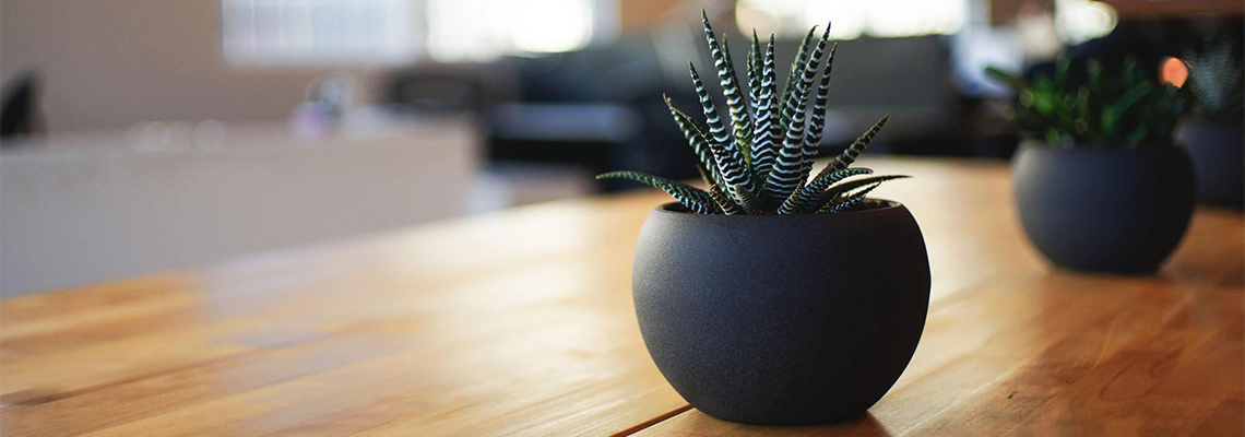 qk.77.apk秋葵视频下载安装